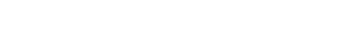 AuctionsPlus